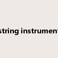 string instrument是什么意思