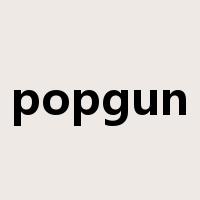 popgun是什么意思