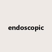 endoscopic是什么意思