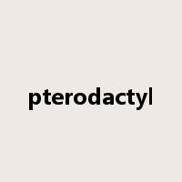 pterodactyl是什么意思