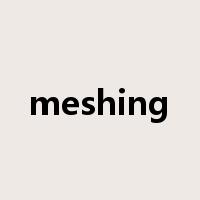meshing是什么意思