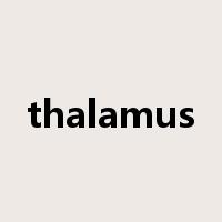 thalamus是什么意思
