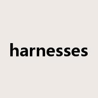 harnesses是什么意思