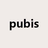pubis是什么意思