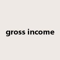 gross income是什么意思