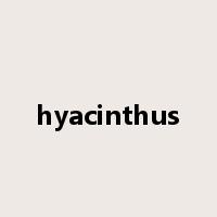 hyacinthus是什么意思