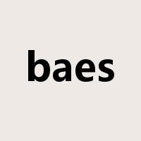 baes是什么意思