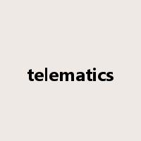 telematics是什么意思