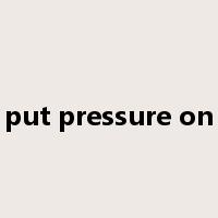 put pressure on是什么意思