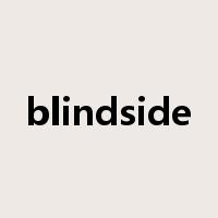 blindside是什么意思