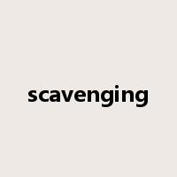 scavenging是什么意思