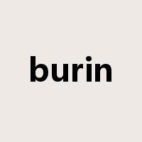 burin是什么意思
