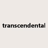 transcendental是什么意思