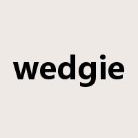 wedgie是什么意思