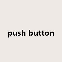 push button是什么意思