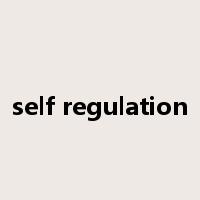 self regulation是什么意思