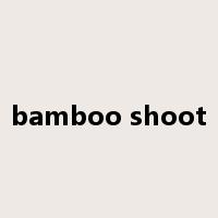 bamboo shoot是什么意思