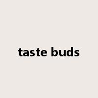 taste buds是什么意思