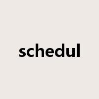 schedul是什么意思