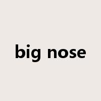 big nose是什么意思