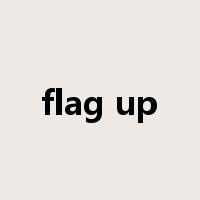 flag up是什么意思