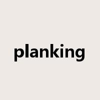 planking是什么意思