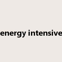 energy intensive是什么意思