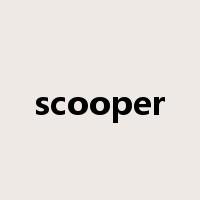 scooper是什么意思