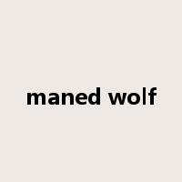 maned wolf是什么意思