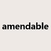 amendable是什么意思