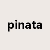 pinata是什么意思
