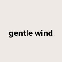 gentle wind是什么意思