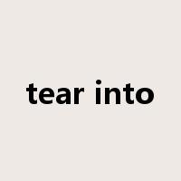 tear into是什么意思