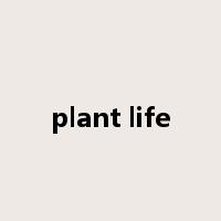 plant life是什么意思