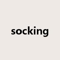 socking是什么意思