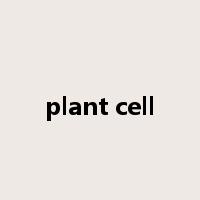 plant cell是什么意思