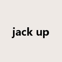 jack up是什么意思