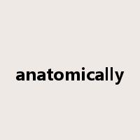 anatomically是什么意思