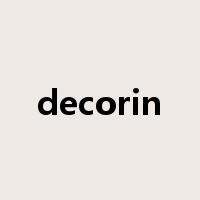 decorin是什么意思