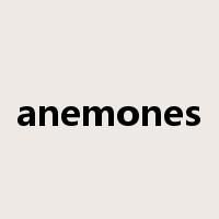 anemones是什么意思