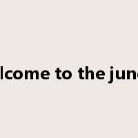 welcome to the jungle是什么意思