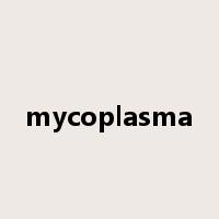 mycoplasma是什么意思