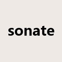 sonate是什么意思