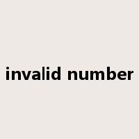 invalid number是什么意思