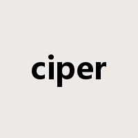 ciper是什么意思