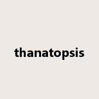 thanatopsis是什么意思