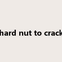 hard nut to crack是什么意思