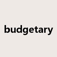 budgetary是什么意思