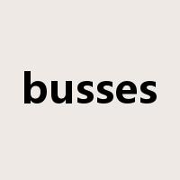 busses是什么意思