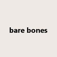 bare bones是什么意思